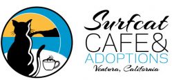 Surfcat Cafe